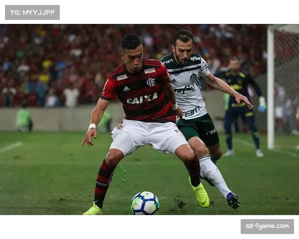 帕尔梅拉斯上轮二比零轻取尤文图德,保持争冠势头 帕尔梅拉斯上轮二比零轻取尤文图德,保持争冠势头